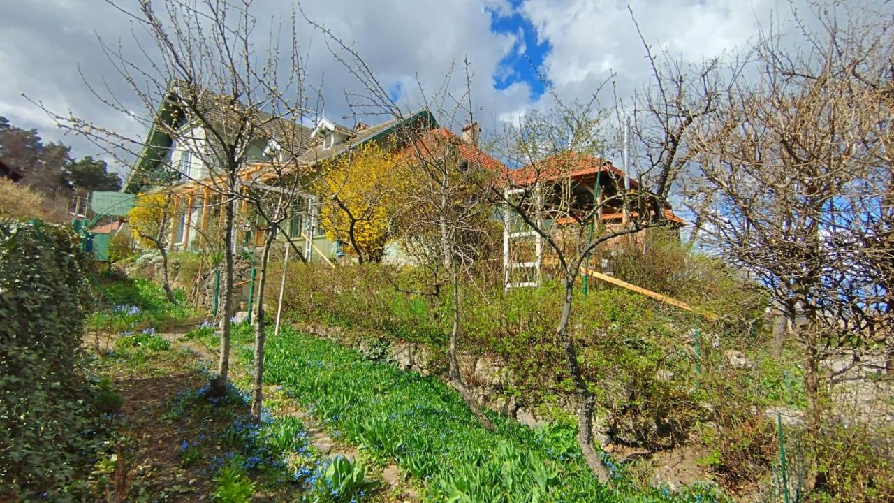 Villa Kuschmann Μπρασόβ Εξωτερικό φωτογραφία