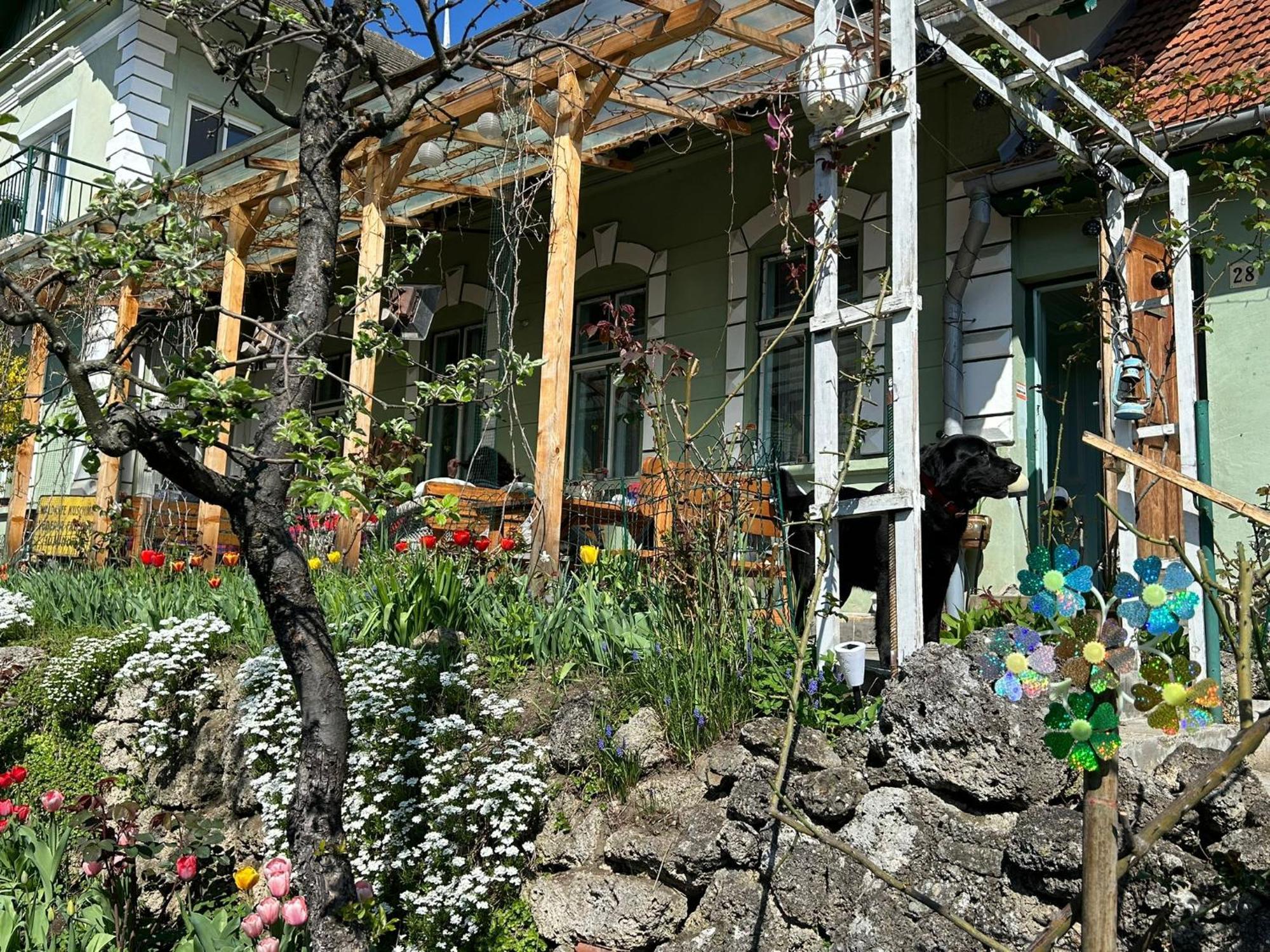 Villa Kuschmann Μπρασόβ Εξωτερικό φωτογραφία